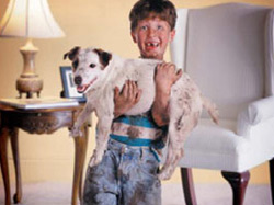 Young boy holding a puppy