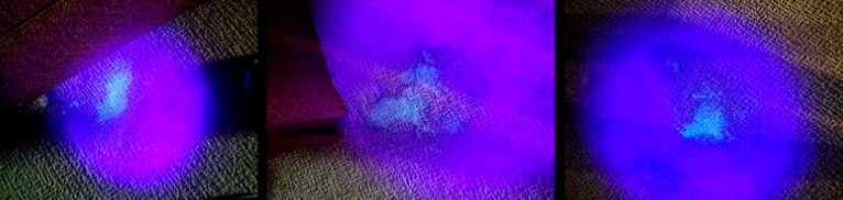 Urine Spots Found with Black Light