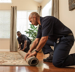 Carpet & Area Rugs Cleaning